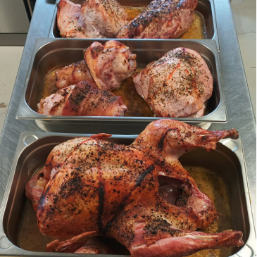 grilování - galerie